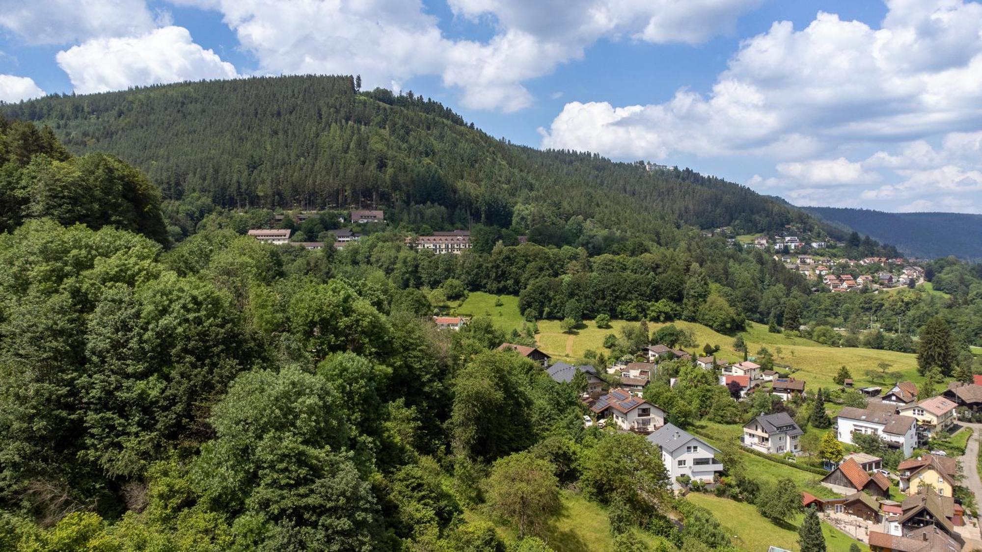 Black Forest Design Apartment Bad Wildbad Exterior photo
