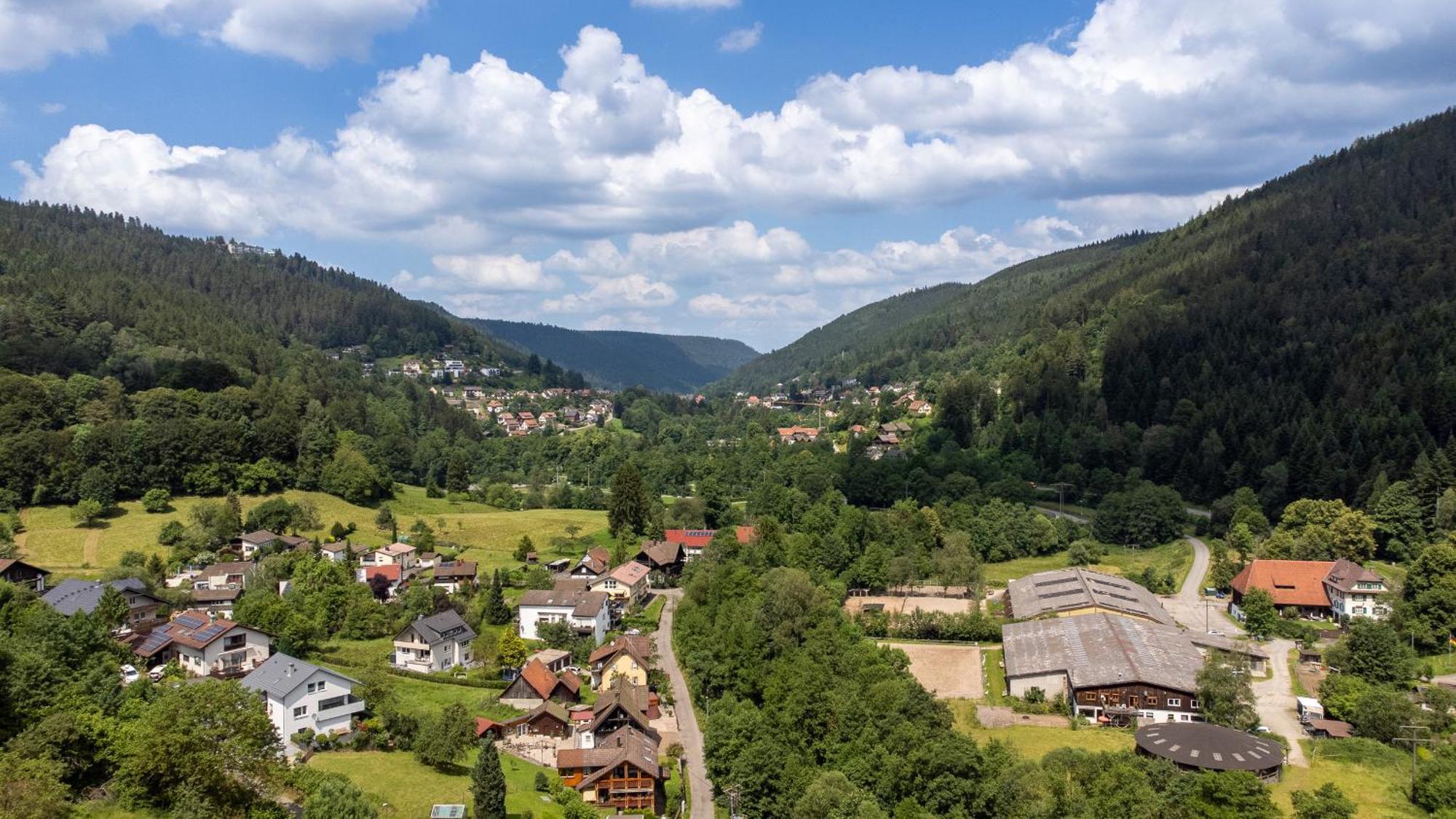 Black Forest Design Apartment Bad Wildbad Exterior photo